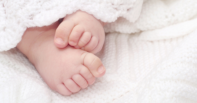 Externer Link: Baby Smile Galerie (Öffnet neues Fenster)