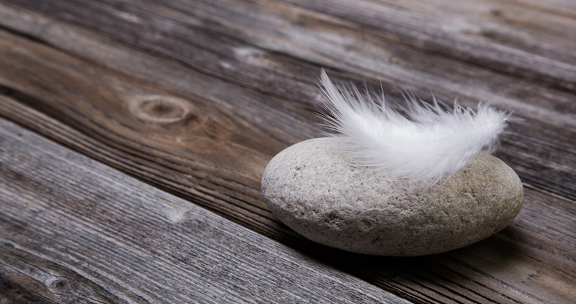 Bild Feder auf Stein