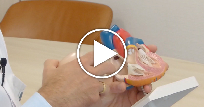 Thumbnail Kardiologie Herzrhythmusstörungen